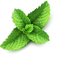 leaf-mint